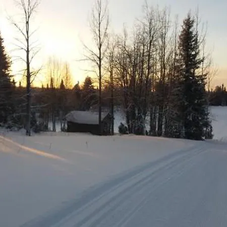 Holiday Ketorinne